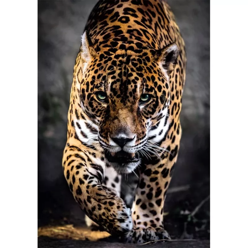 Clementoni High Quality Collection 39947 Puzzel 1000 stukjes Dieren