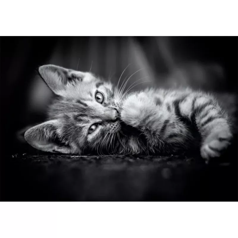 Clementoni High Quality Collection 39950 Puzzel Legpuzzel 1000 st. Dieren