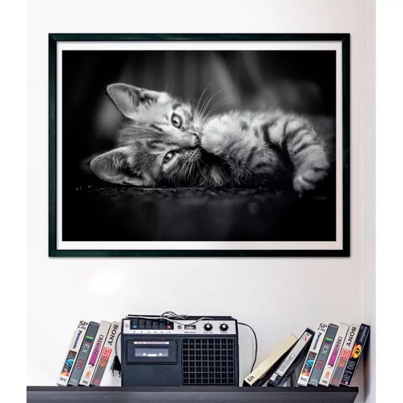 Clementoni High Quality Collection 39950 Puzzel Legpuzzel 1000 st. Dieren