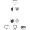 Techly ICOC DSP-C12-030P videokabeladapter 3 m DisplayPort DVI-D zwart
