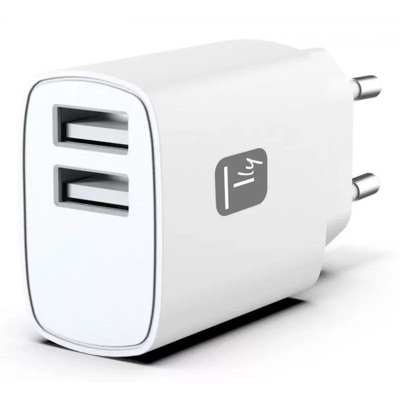 Techly IPW-USB-12W2A Oplader voor mobiele apparaten Koptelefoon, Draagbare luidspreker, Powerbank, Smartphone, Tablet Wit AC binnen