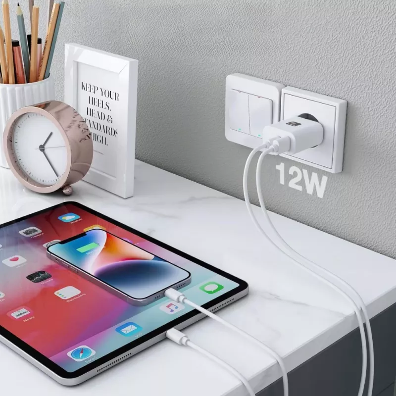 Techly IPW-USB-12W2A Oplader voor mobiele apparaten Koptelefoon, Draagbare luidspreker, Powerbank, Smartphone, Tablet Wit AC binnen