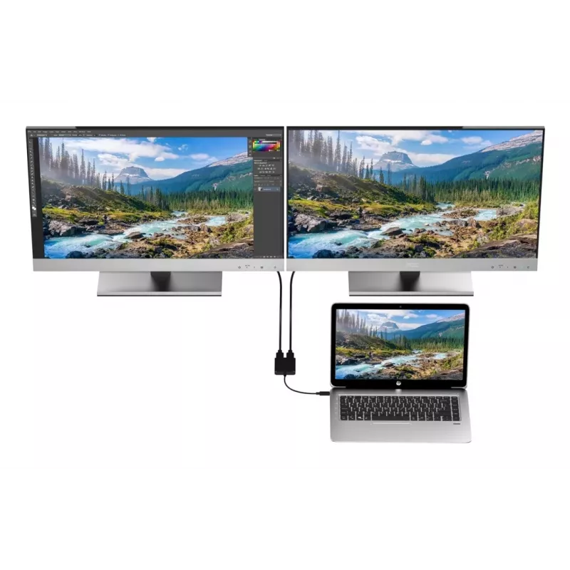 Techly IADAP USBC-HDMI2T4K Videokabel-adapter 0,15 m USB Type-C 2 x HDMI zwart