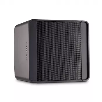 Biamp Desono KUBO5T 2-weg zwart bedraad 50 W