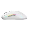 Glorious Gaming Glorious Model O 2 Mini Wireless - matwit