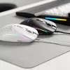 Glorious Gaming Glorious Model IV2 Wired - zwart, rechtshandig, optisch, USB Type-A, 26000 DPI, zwart