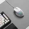 Glorious Gaming Glorious Model IV2 Wired - zwart, rechtshandig, optisch, USB Type-A, 26000 DPI, zwart
