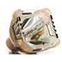 BenQ 5J.JA105.001 projectielamp 190 W