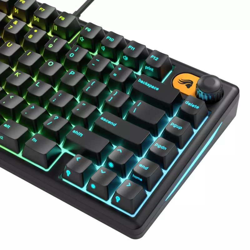 Glorious Gaming GMBK 75% toetsenbord USB QWERTY US-Engels zwart