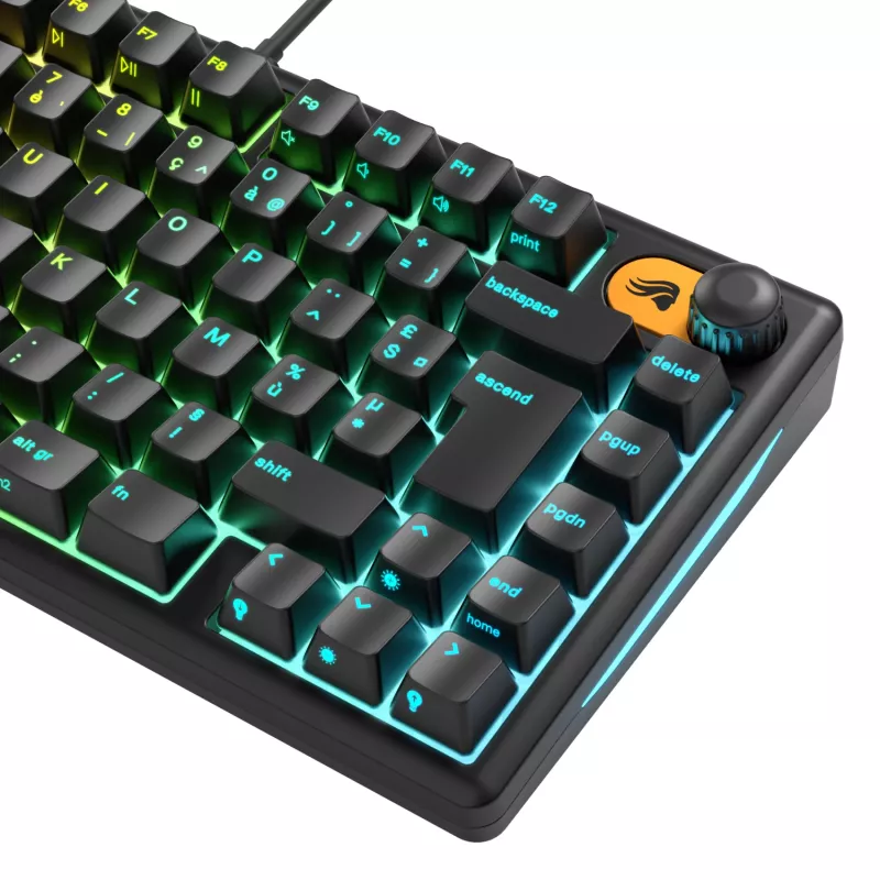 Glorious Gaming GMBK 75% toetsenbord USB AZERTY Frans zwart
