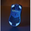 Glorious Gaming Glorious Model O Wireless - matzwart, rechtshandig, optisch, RF draadloos, 19000 DPI, 1 ms, zwart