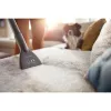 Philips 2000 serie XB2140/09 zakloze steelstofzuiger, 1,3 l, 850 W, droog reinigen