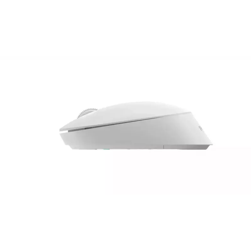 Philips SPK7307W/00 kantoor muis dubbelhandig RF draadloos optisch 1600 DPI wit