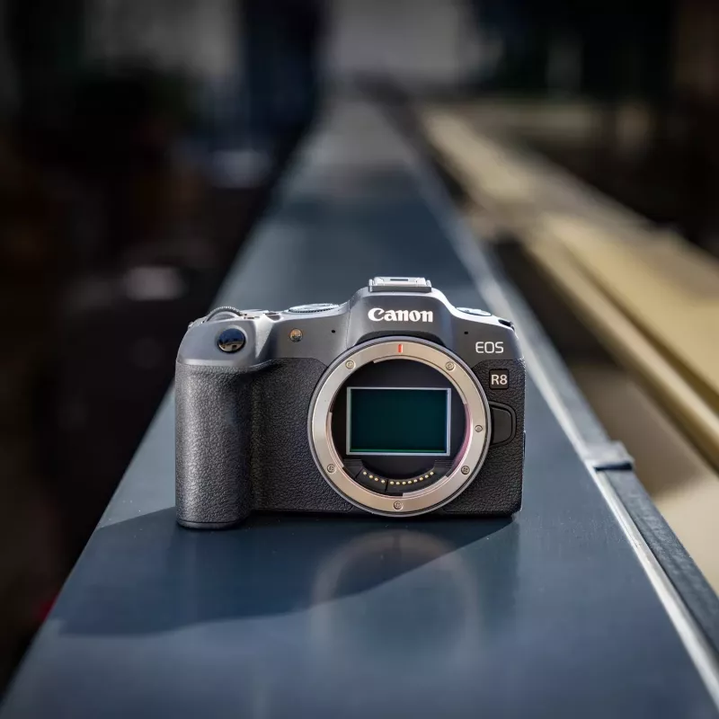 Canon EOS R8 + RF 24-105mm F4-7.1 IS STM MILC 24,2 MP CMOS 6000 x 4000 pixel zwart