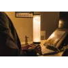 BakkerElkhuizen EnergyByLight circadiane bureaulamp