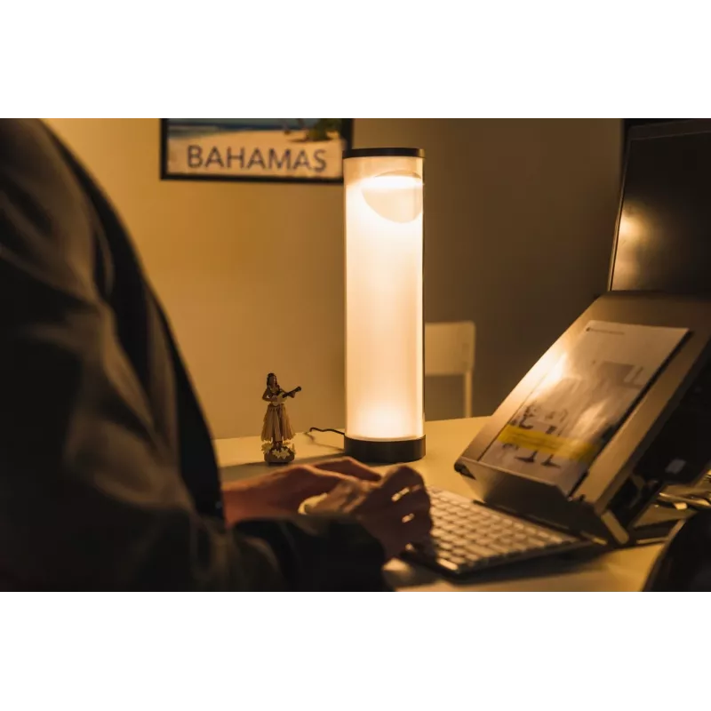 BakkerElkhuizen EnergyByLight circadiane bureaulamp