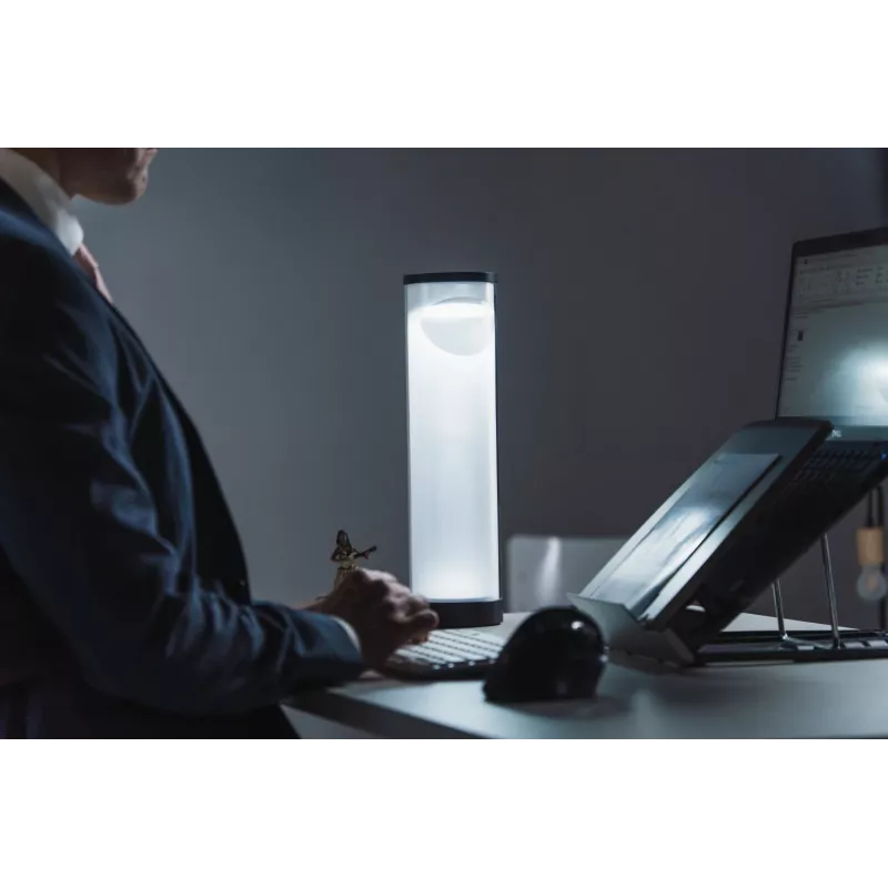 BakkerElkhuizen EnergyByLight circadiane bureaulamp