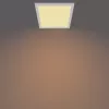 Plafondlamp Philips Functional Panel 12 W LED vierkant 300×300×42 mm, wit