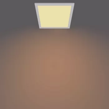 Plafondlamp Philips Functional Panel 12 W LED vierkant 300×300×42 mm, wit