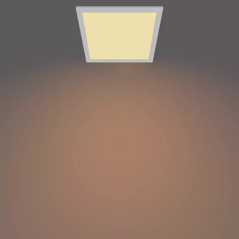 Plafondlamp Philips Functional Panel 12 W LED vierkant 300×300×42 mm, wit
