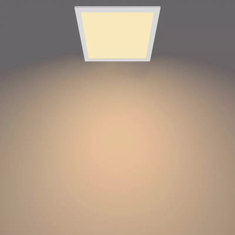 Plafondlamp Philips Functional Panel 12 W LED vierkant 300×300×42 mm, wit