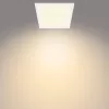 Plafondlamp Philips Functional Panel 12 W LED vierkant 300×300×42 mm, wit