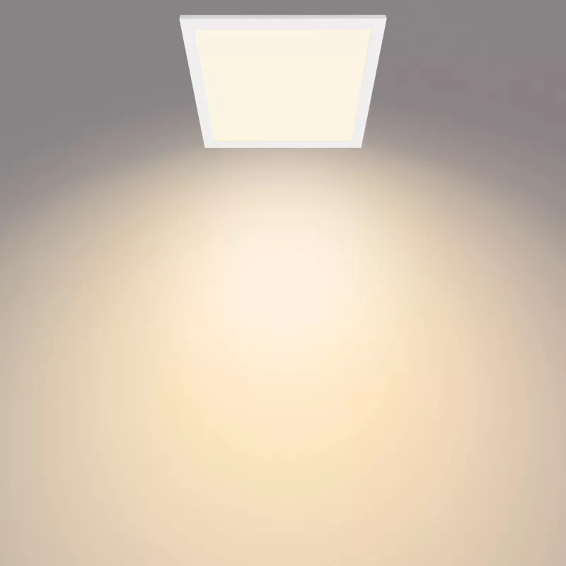Plafondlamp Philips Functional Panel 12 W LED vierkant 300×300×42 mm, wit
