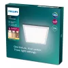 Plafondlamp Philips Functional Panel 12 W LED vierkant 300×300×42 mm, wit