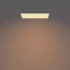 Philips Functional Panel Ceiling plafondlamp 36 W rechthoekig