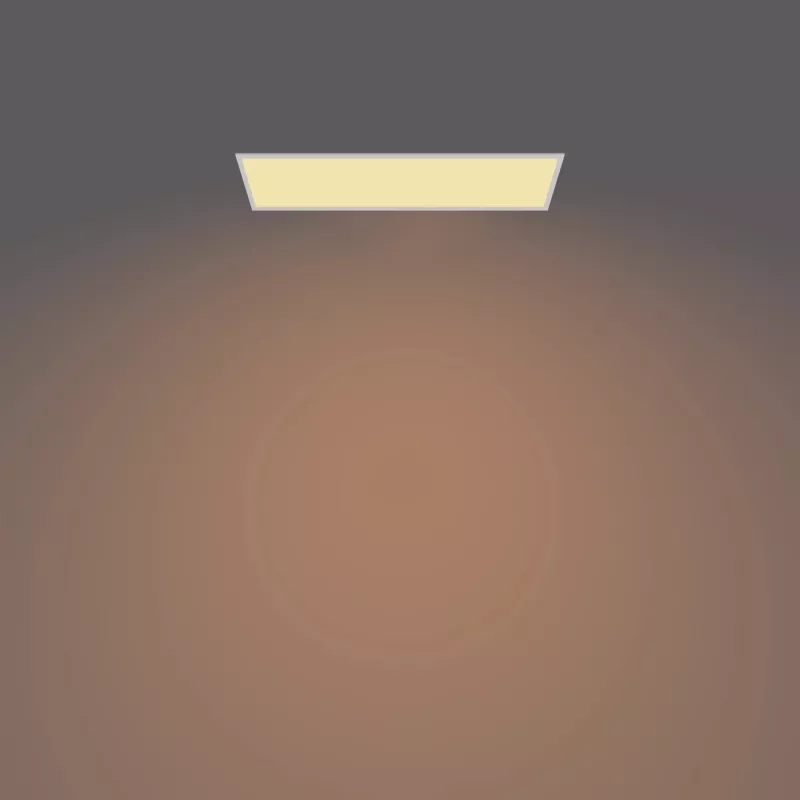 Philips Functional Panel Ceiling plafondlamp 36 W rechthoekig