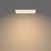 Philips Functional Panel Ceiling plafondlamp 36 W rechthoekig