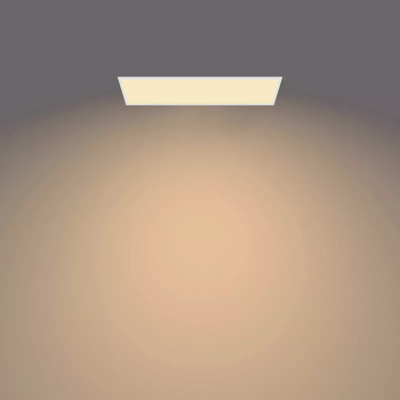 Philips Functional Panel Ceiling plafondlamp 36 W rechthoekig