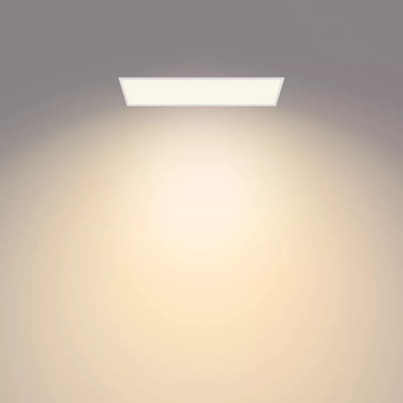 Philips Functional Panel Ceiling plafondlamp 36 W rechthoekig