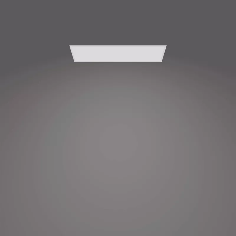 Plafondlamp Philips Functional Panel 36 W LED rechthoekig 300×1200×42 mm, wit