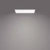 Plafondlamp Philips Functional Panel 36 W LED rechthoekig 300×1200×42 mm, wit