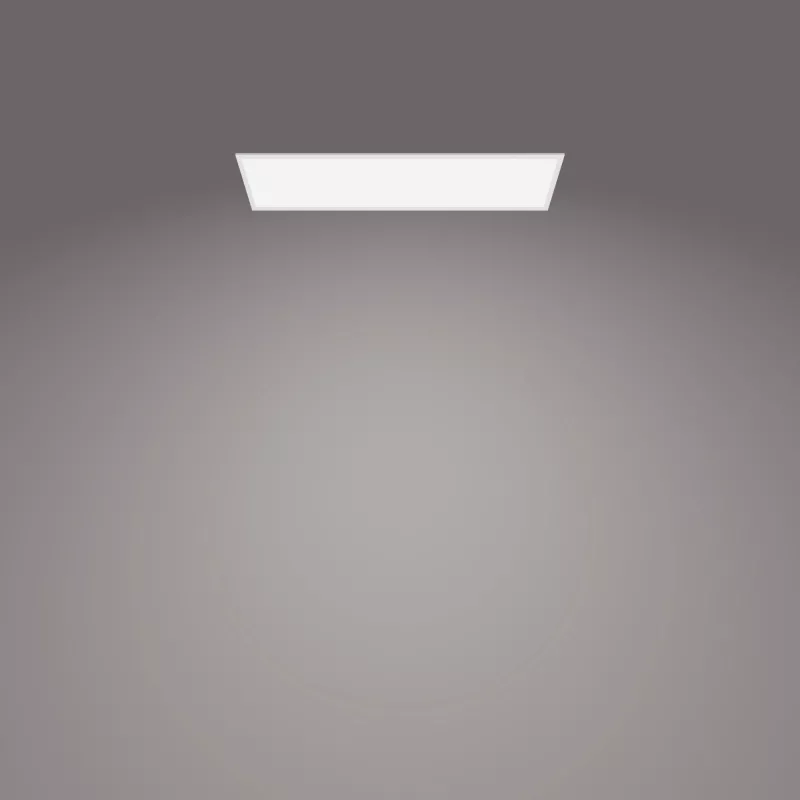 Plafondlamp Philips Functional Panel 36 W LED rechthoekig 300×1200×42 mm, wit