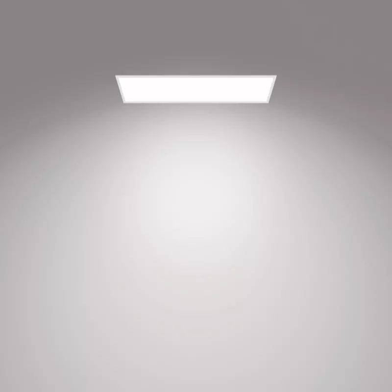 Plafondlamp Philips Functional Panel 36 W LED rechthoekig 300×1200×42 mm, wit
