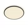 Plafondlamp Philips Functional Super slim 22 W zwart LED rond