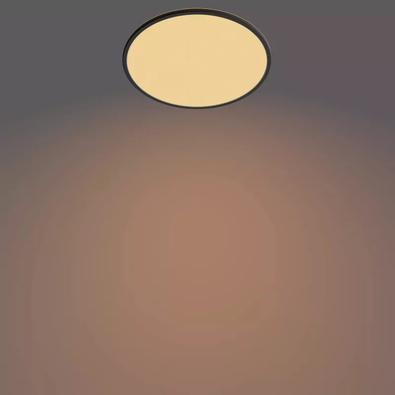 Plafondlamp Philips Functional Super slim 22 W zwart LED rond