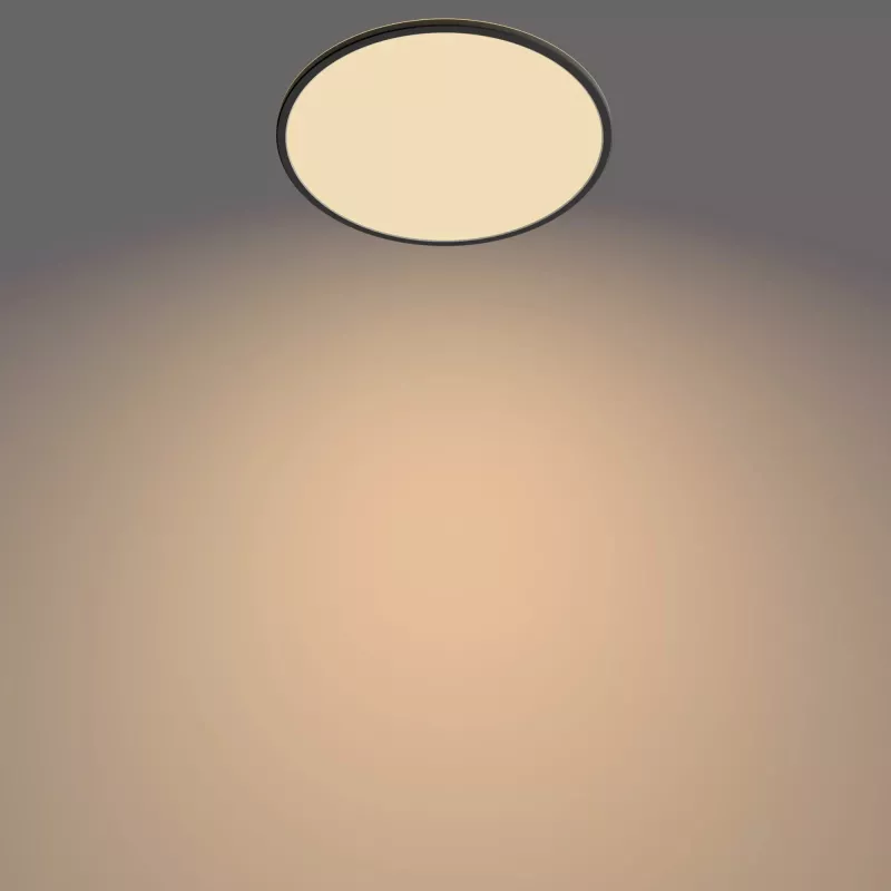 Plafondlamp Philips Functional Super slim 22 W zwart LED rond