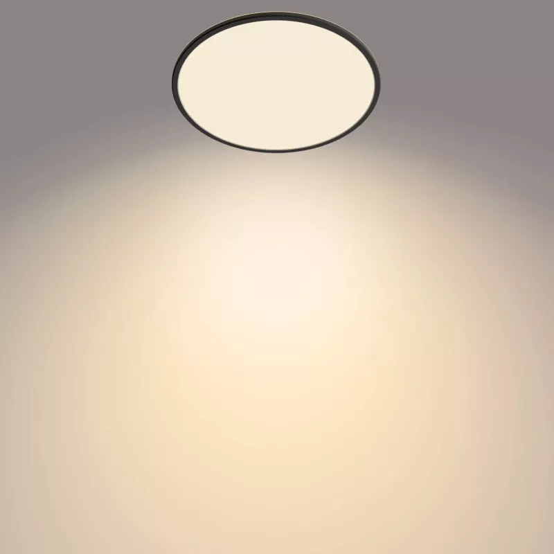 Plafondlamp Philips Functional Super slim 22 W zwart LED rond