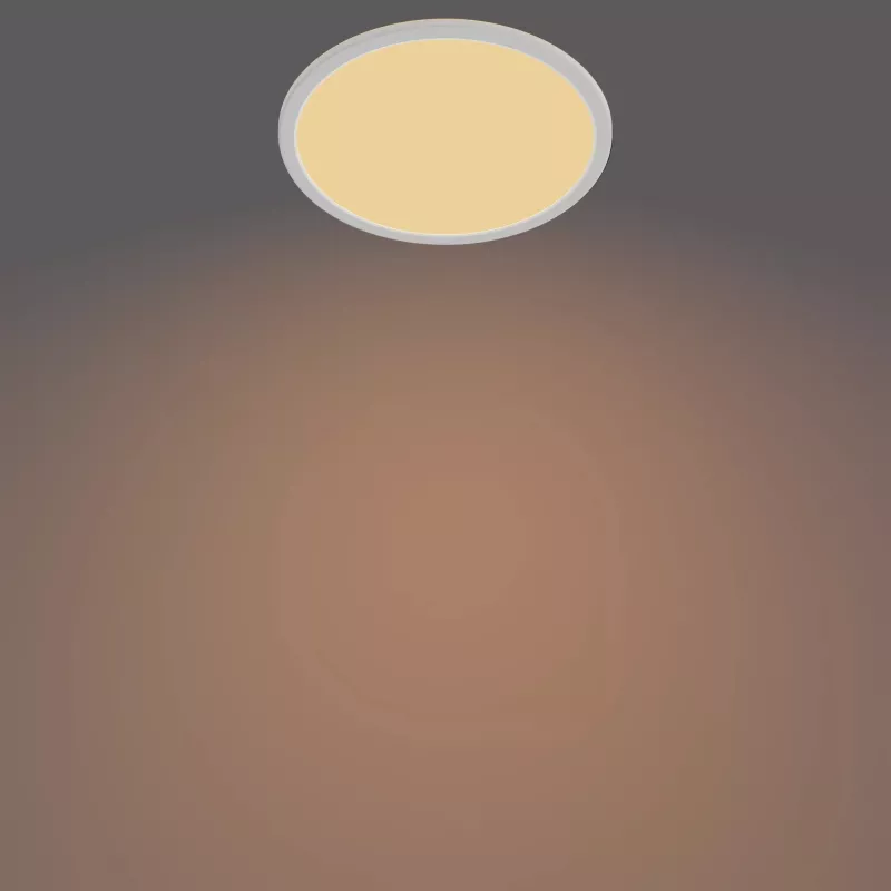 Plafondlamp Philips Functional Super slim 15 W wit rond badkamer