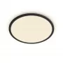 Philips Functional plafondlamp 18W 2700K 1500 lm dimbare opbouw-LED zwart