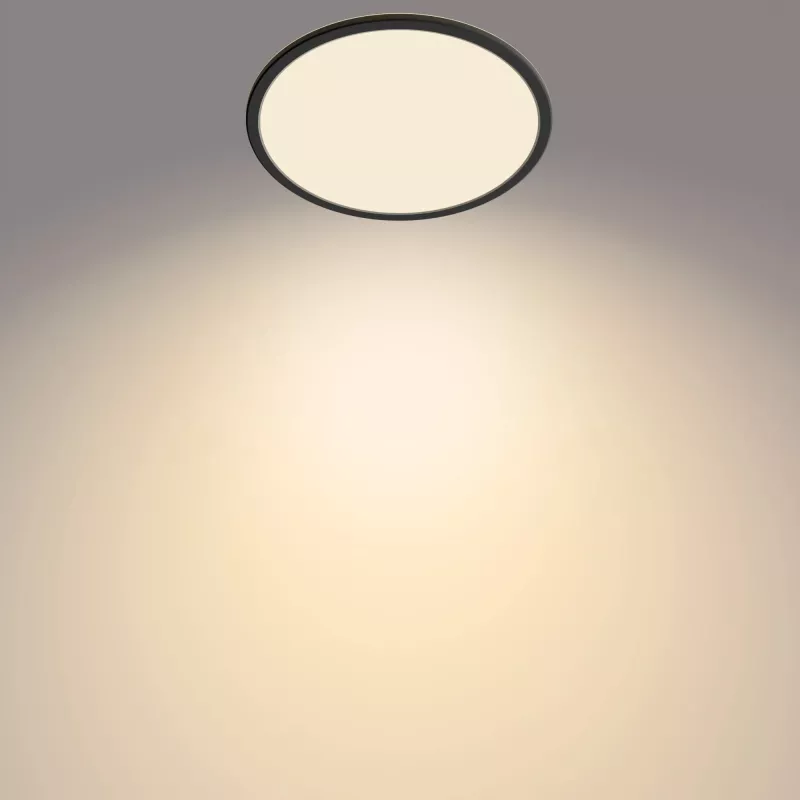 Philips Functional plafondlamp 18W 2700K 1500 lm dimbare opbouw-LED zwart