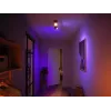Philips Hue White and colour ambience Centris 2-spot plafondlamp