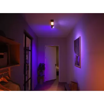 Philips Hue White and colour ambience Centris 2-spot plafondlamp
