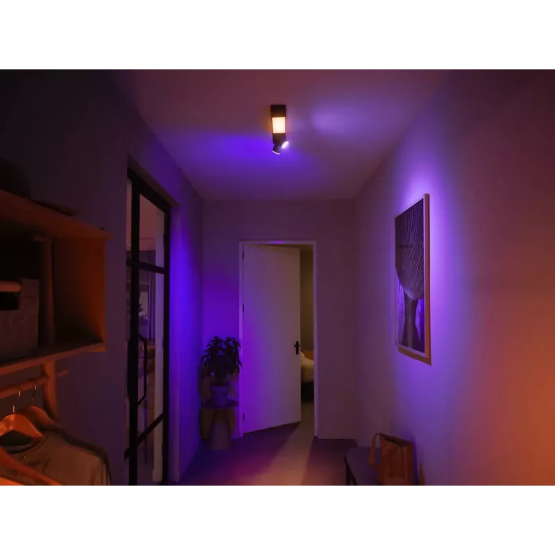 Philips Hue White and colour ambience Centris 2-spot plafondlamp