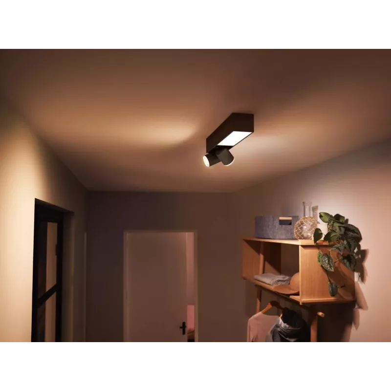 Philips Hue White and colour ambience Centris 2-spot plafondlamp