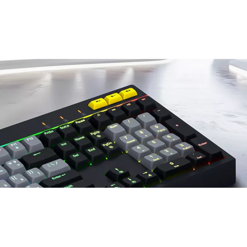 HATOR Icefall toetsenbord gaming USB QWERTY US English zwart RGB LED