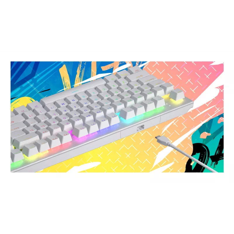 HATOR Gravity X TKL toetsenbord gaming USB QWERTY US English wit